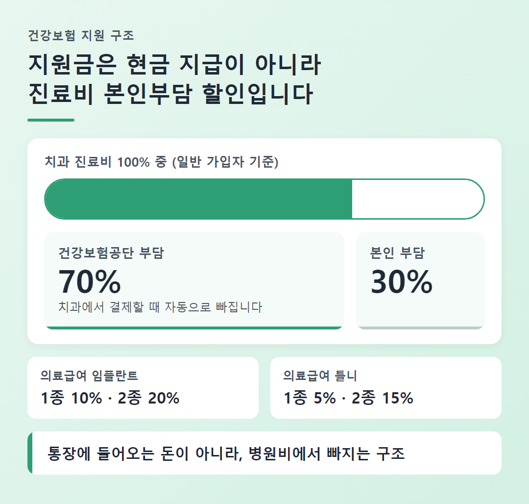 틀니·임플란트 건강보험 지원 구조 인포그래픽: 진료비 70% 공단 부담, 본인 30%