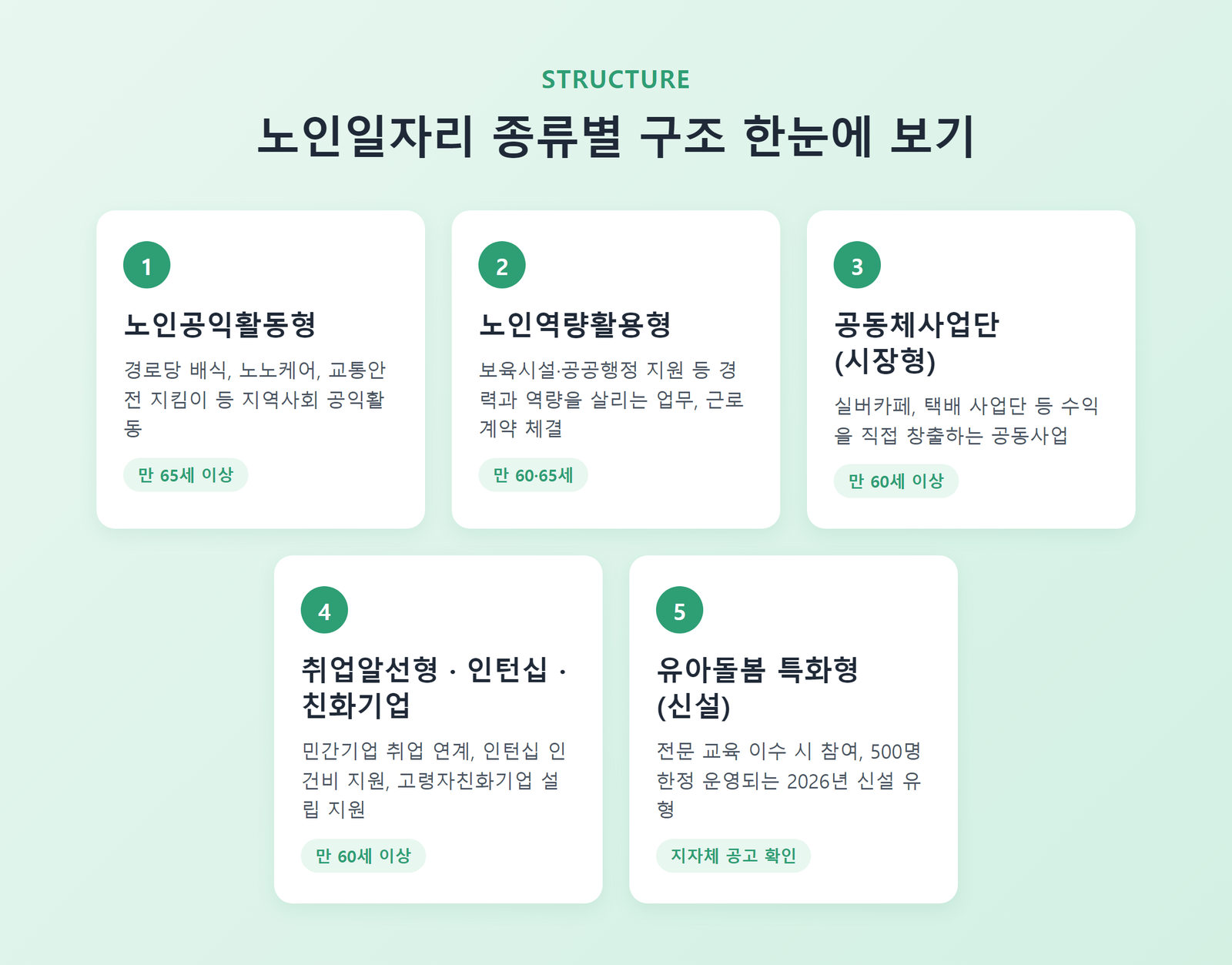 노인일자리 종류별 구조를 한눈에 보여주는 인포그래픽