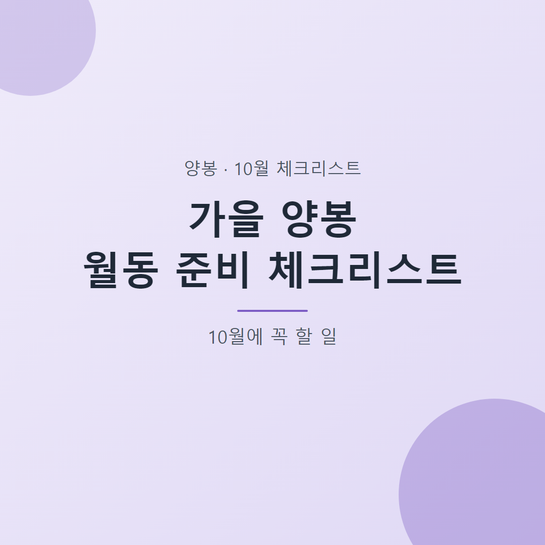 가을 양봉 월동 준비 체크리스트 10월에 꼭 할 일