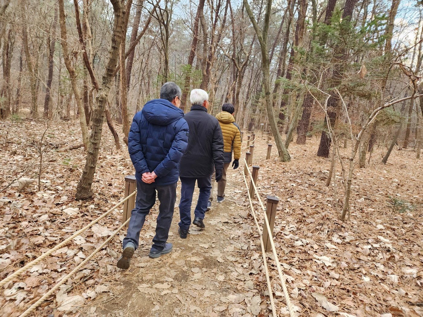 낙엽 쌓인 겨울 광릉 숲길에서 밧줄 난간을 따라 걷는 세 사람의 뒷모습