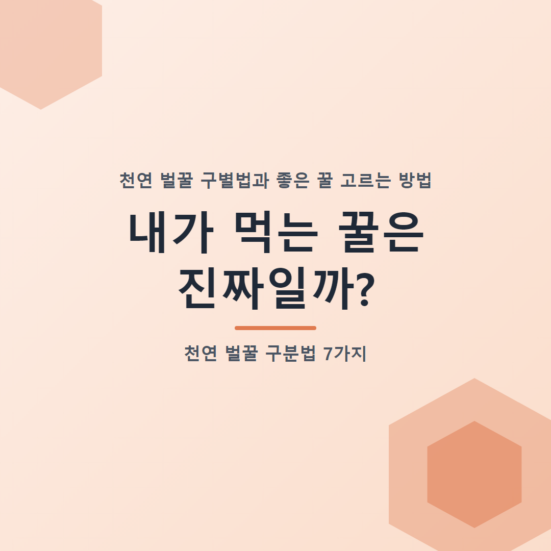 내가 먹는 꿀은 진짜일까? 천연 벌꿀 구분법 7가지