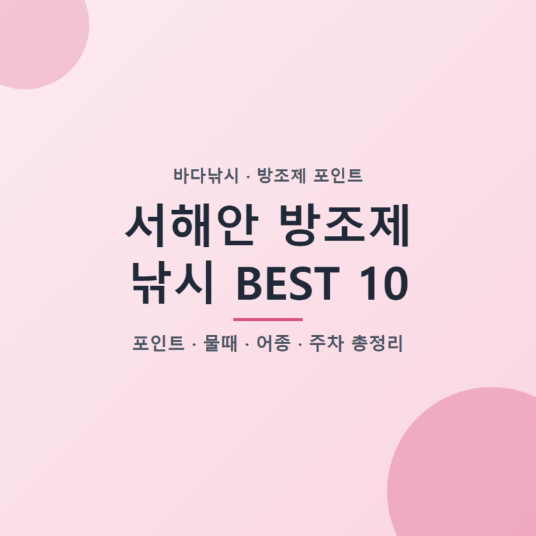 서해안 방조제 낚시 BEST 10 포인트 물때 어종 주차 총정리
