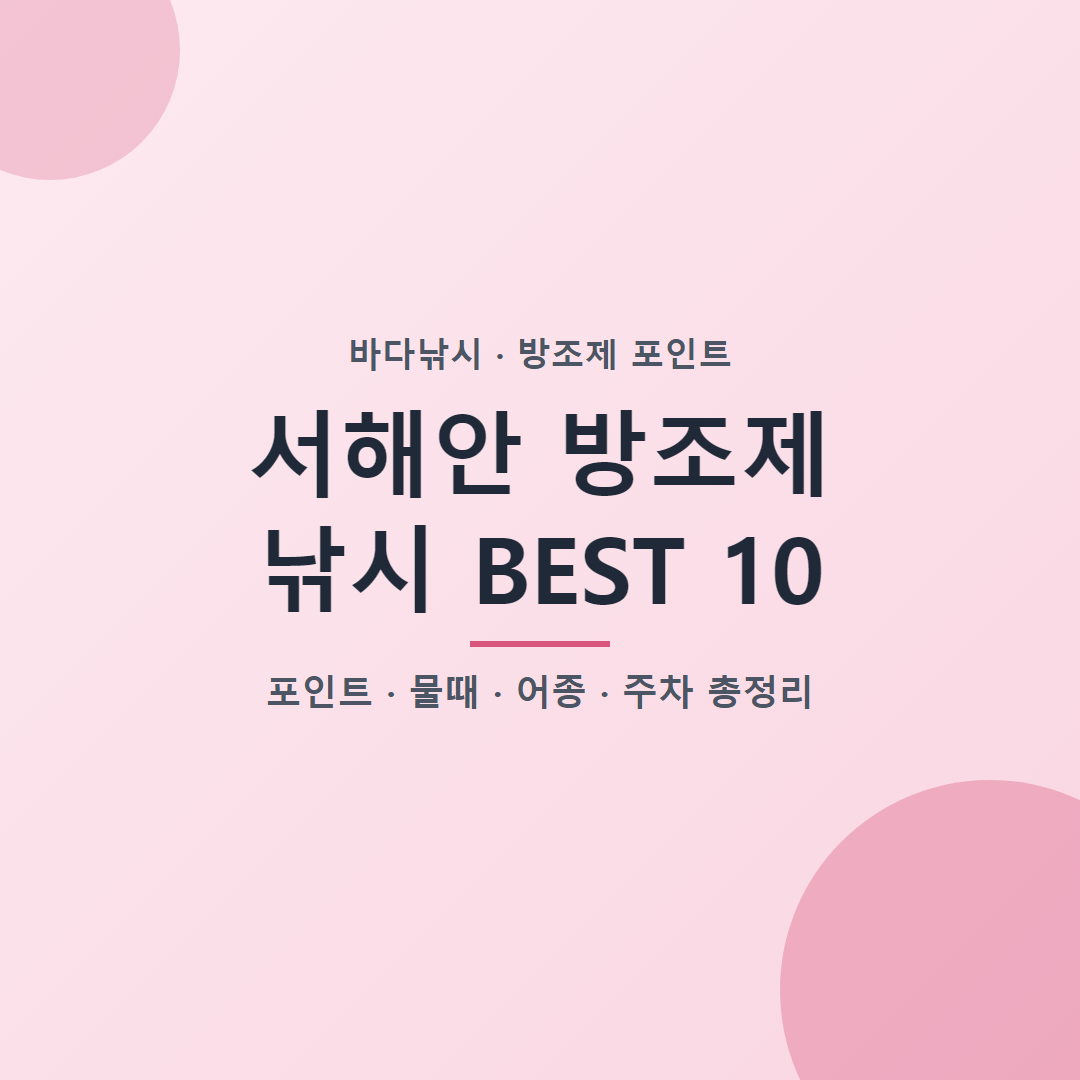 서해안 방조제 낚시 BEST 10 포인트 물때 어종 주차 총정리